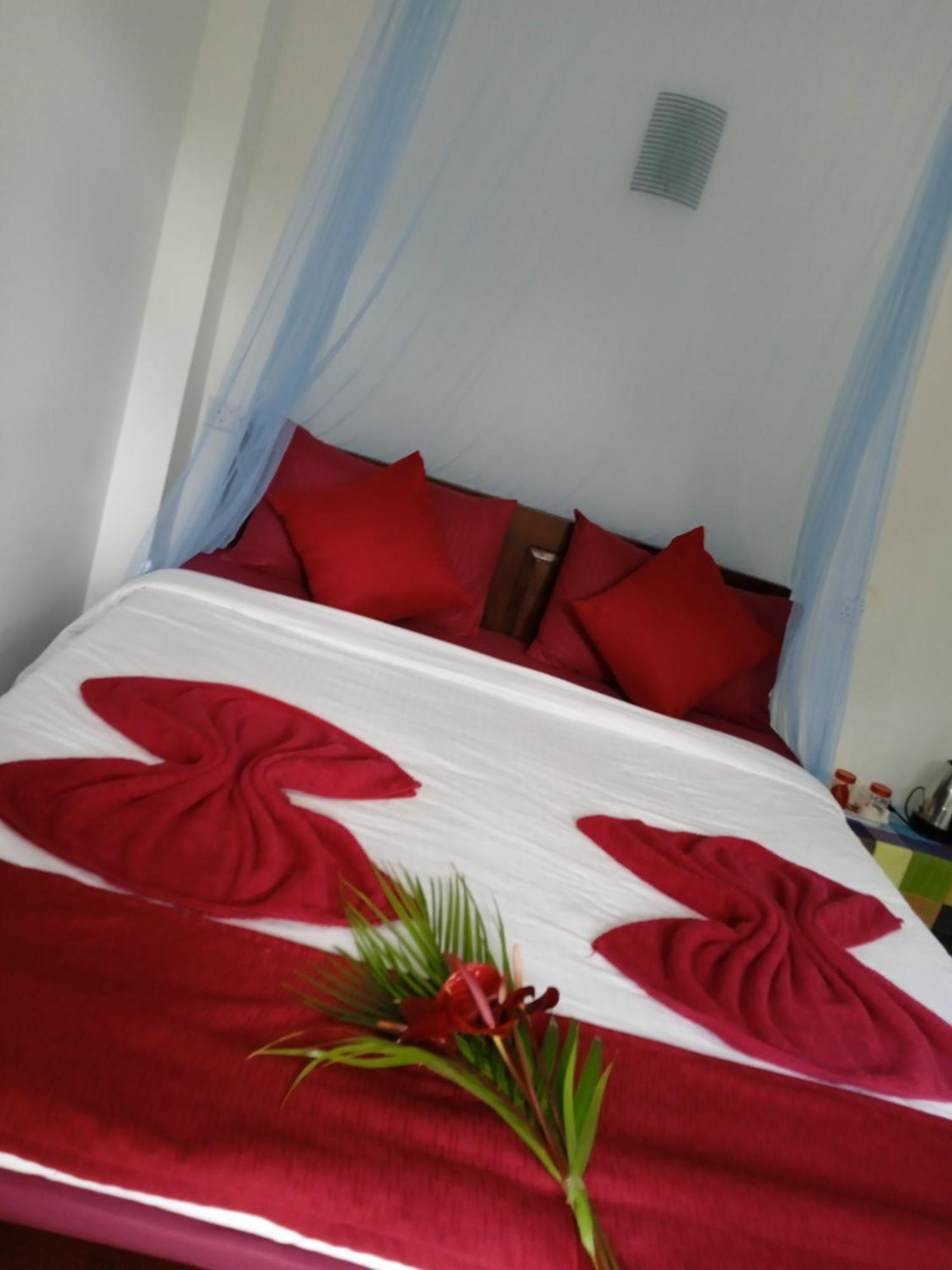 Nine Arch Corner Apartment Ела Екстериор снимка