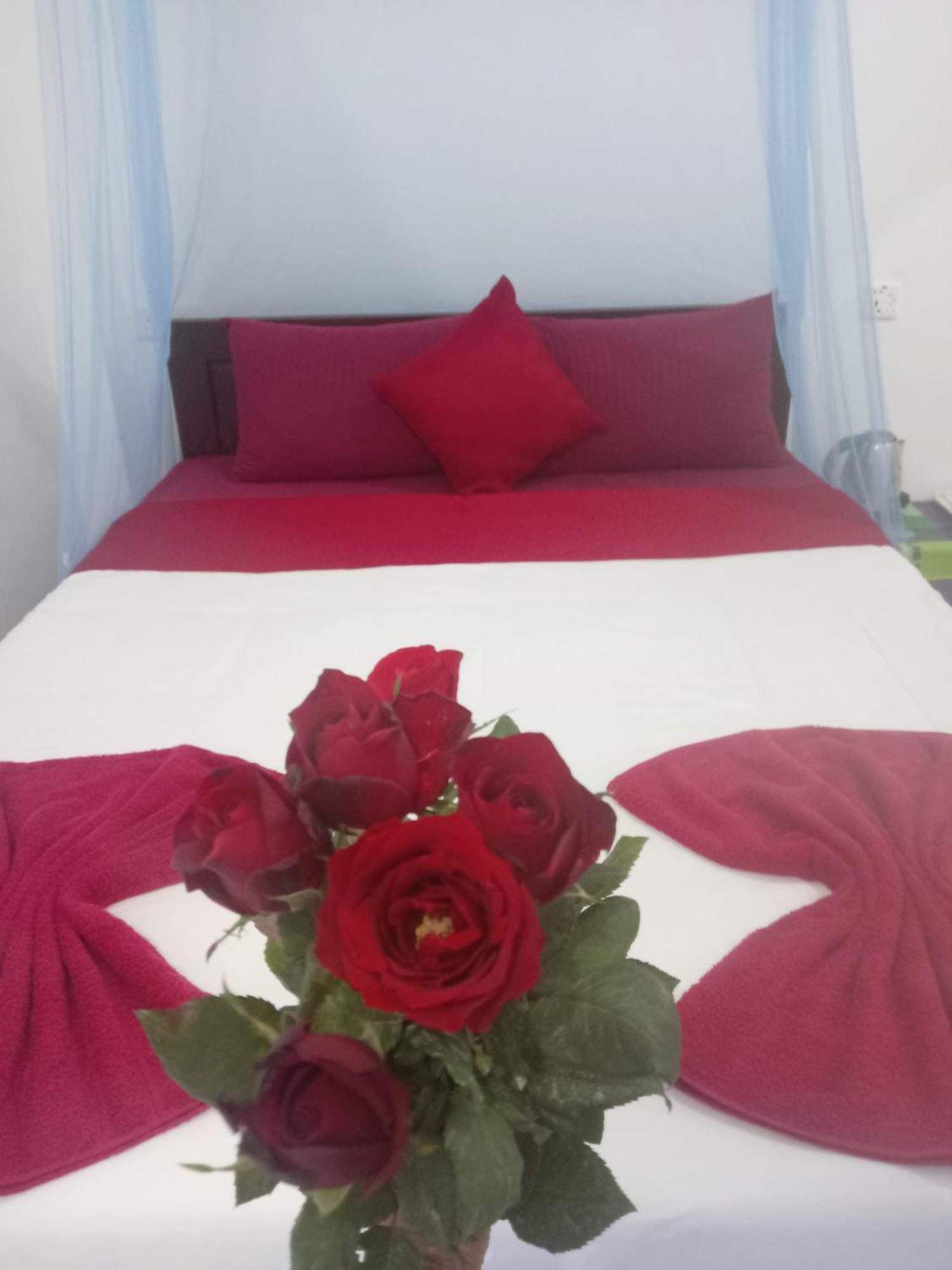 Nine Arch Corner Apartment Ела Екстериор снимка