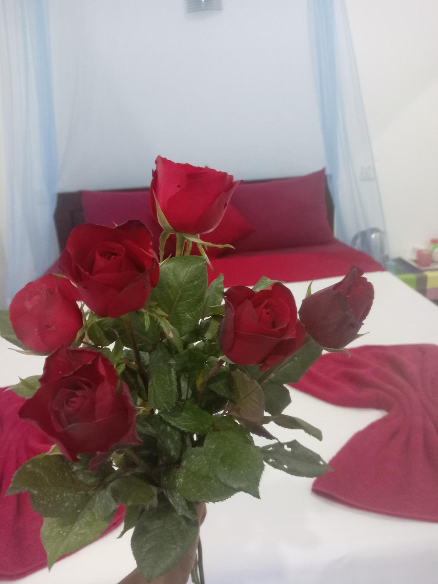 Nine Arch Corner Apartment Ела Екстериор снимка